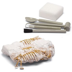 Coffret d'excavation T-Rex