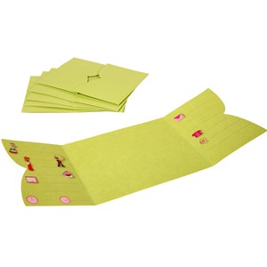 Cartes d'invitation Princesses du monde