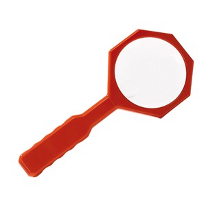 Équipement du petit naturaliste gris