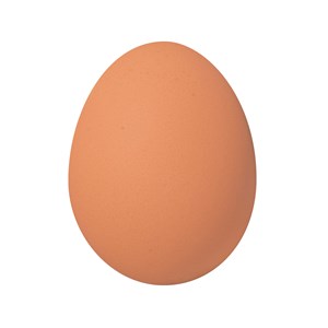 Balle oeuf rebondissante
