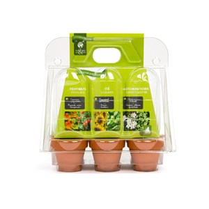 À la découverte du cycle des saisons