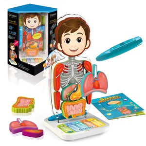 Corps humain interactif Smart anatomy