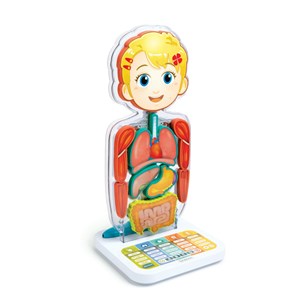 Corps humain interactif Smart anatomy