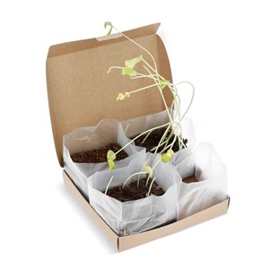 Mon kit mini potager