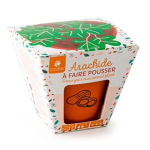 Pot de cacahuètes à faire pousser