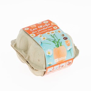 Boîte à œufs à faire pousser