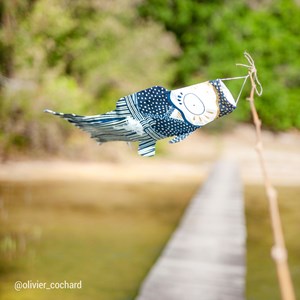 Koinobori bleu marine