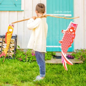 Koinobori rouge