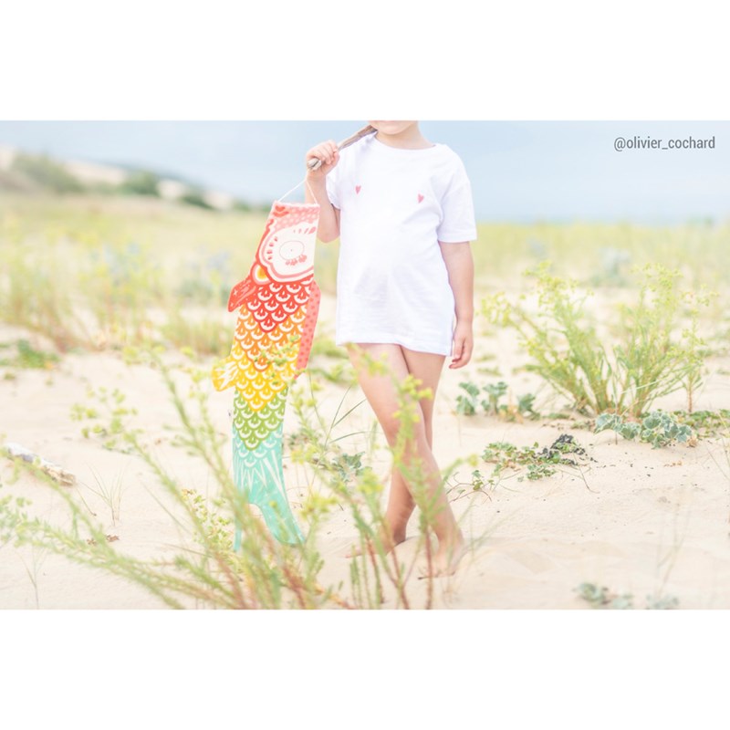 Manche à air Koinobori arc-en-ciel