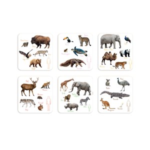 Coffret animaux des continents