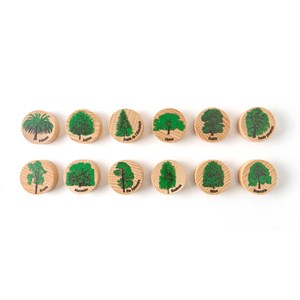 Jeu de mémo des arbres