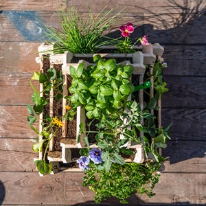 Mon premier potager en bois pour enfant