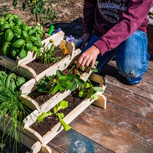 Mon premier potager en bois pour enfant