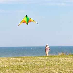 Cerf-volant CALYPSO II