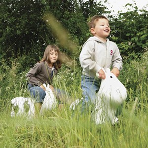 Rosalie la vache - ballon sauteur