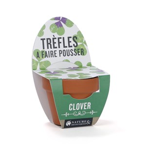 Trèfles 3 feuilles à faire pousser