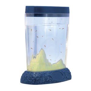 Oeufs d’artémies pour 30159340