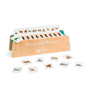 Cartes pour plumier de tri 30170610