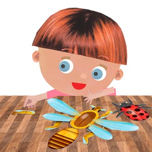 Maquettes d'insectes à assembler