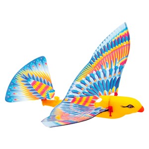 Paco le perroquet volant
