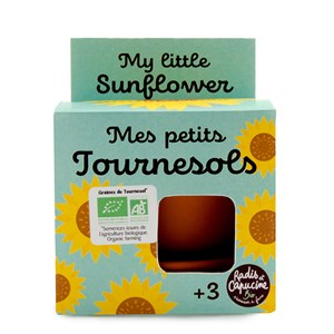 Mes petits tournesols à faire pousser