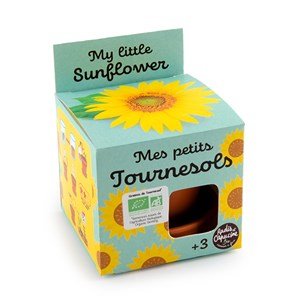 Mes petits tournesols à faire pousser
