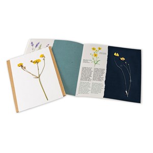 Herbier presse-fleurs