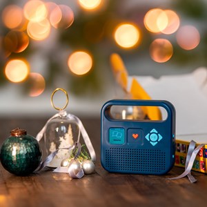 Merlin enceinte audio made in France