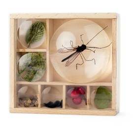 Coffret Mon Petit Musée