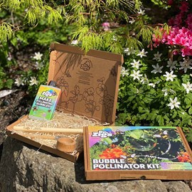 Kit de bulles pollinisatrices