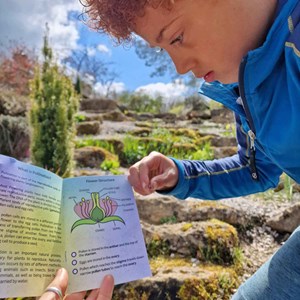 Kit de bulles pollinisatrices