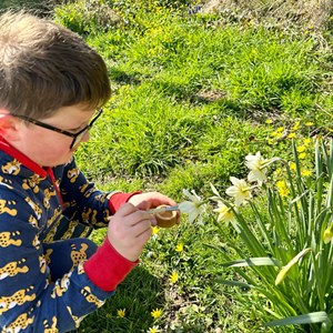 Kit de bulles pollinisatrices