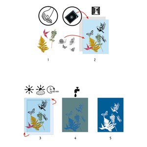 Kit d'initiation au cyanotype