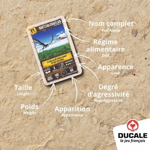 Jeu des 7 familles dinos