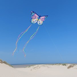 Cerf-volant papillon