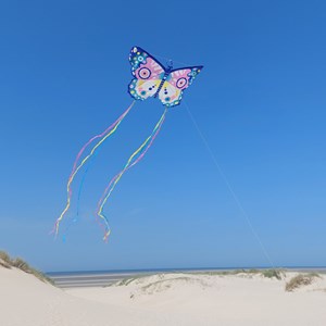 Cerf-volant papillon