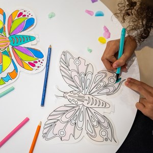 Papillons gonflables à colorier