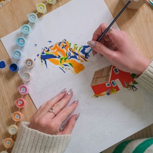 Peinture au numéro Norvège