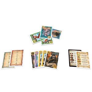 Skull King Jeu de stratégie