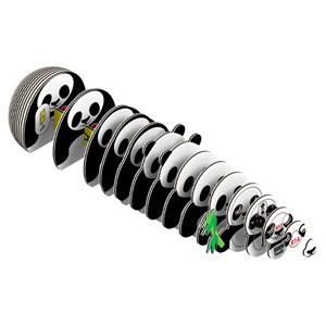 Maquette 3D animaux en carton Eugy Panda