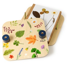 Atelier création d'un herbier avec presse à fleurs