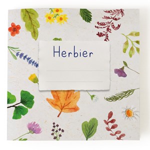 Atelier création d'un herbier avec presse à fleurs