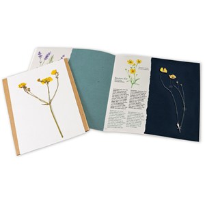 Atelier création d'un herbier avec presse à fleurs