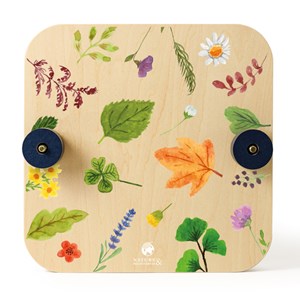 Atelier création d'un herbier avec presse à fleurs