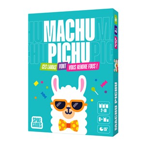 Machu Pichu jeu d'ambiance