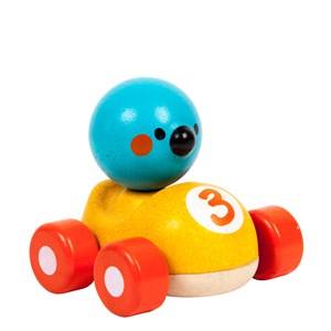 Oiseau de course