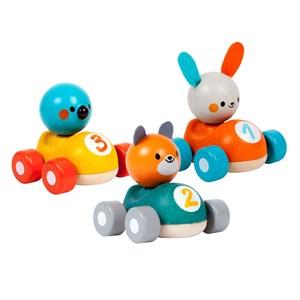 Oiseau de course