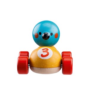 Oiseau de course