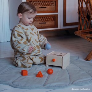 Boîte de notion de permanence de l'objet