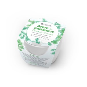 Arbre de naissance Épicéa